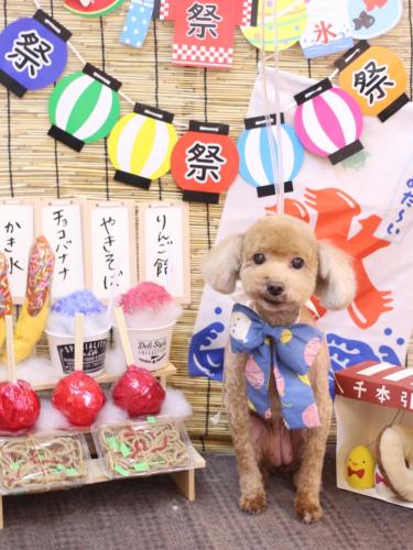 20240719そらちゃん